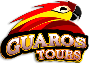 Logo Cliente corporativo